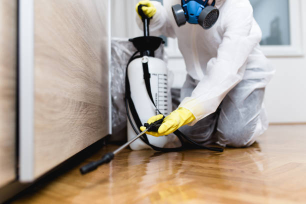 Best Cockroach Control Services  in Pine Ridge At Crestwood, NJ