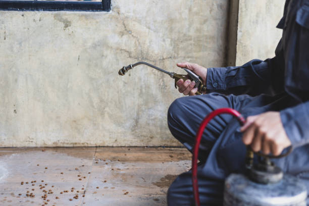 Best Local Pest Control Services  in Pine Ridge At Crestwood, NJ